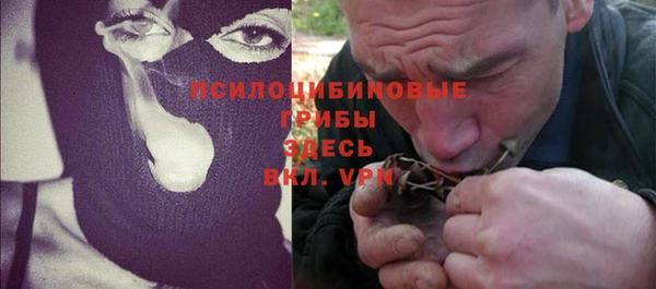 a pvp Алексин