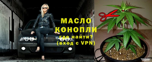 прущие грибы Абаза