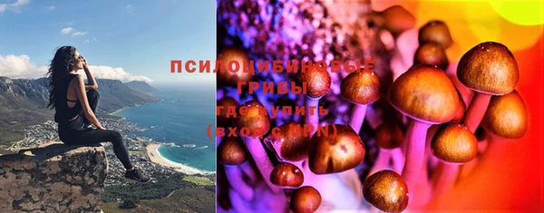 дмт Алзамай